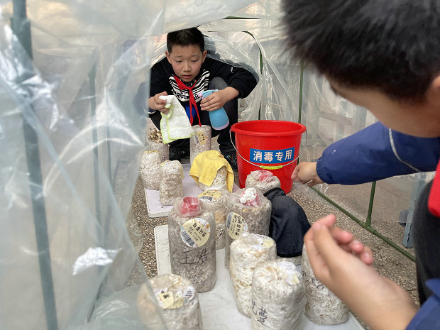 蘑菇种植角_副本.jpg