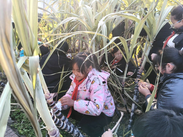 微信图片_20241217151536_副本.jpg
