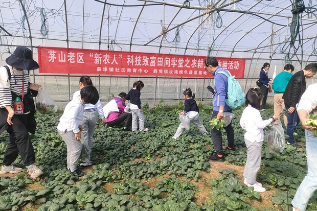 微信图片_20250102133909_副本.jpg