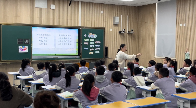 曹琦老师.jpg