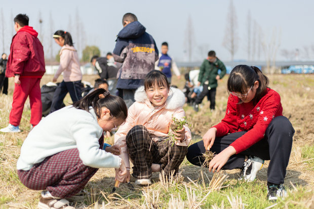 4趣味农耕：挖野菜、放风筝  (6)_副本.jpg