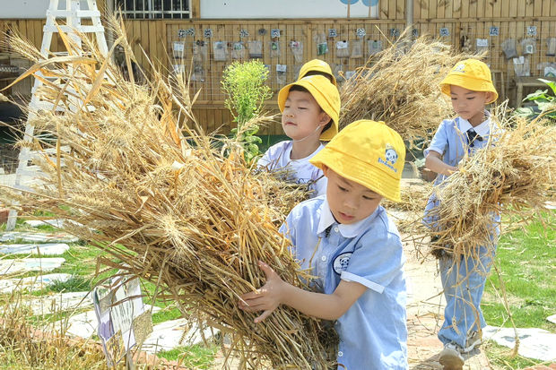 373EA9D809955A3D17D852ECCB3A59BC_副本.jpg