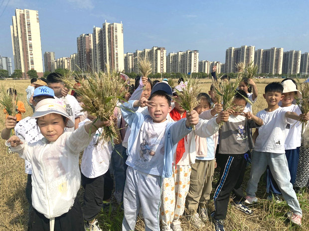 微信图片_20250526163001_副本.jpg