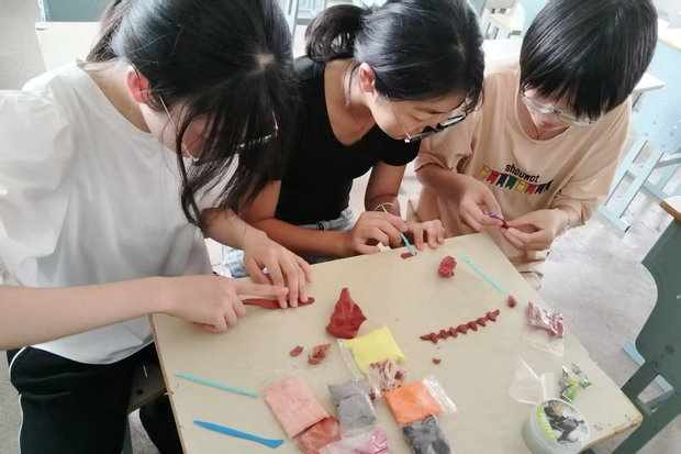 微信图片_20250609211215_副本.jpg