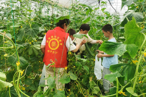微信图片_20250616093021_副本.jpg